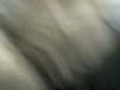 台湾秀女孩 s42c12 alcw2 yjxcnyx