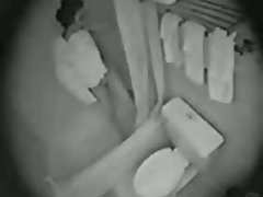 苗族人胖胖的小山雀得到舔