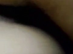 诺蒂卡刺乱搞长发螺柱