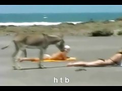 热金发美女获取摸她毛茸茸的猫，获取狂跌