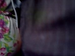 小小好的山雀锐小宫-由 packmans