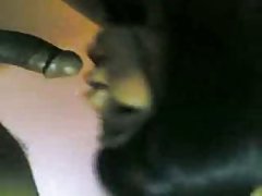我和我的婊子
