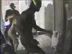 嫩女同性恋帅哥美女享受猥亵口腔性爱
