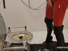 调教萨塞克斯狐狸和 pal bj 行动