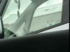 惠贞康-老伙计