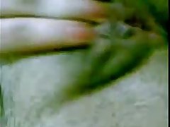 J15 日本猫 3