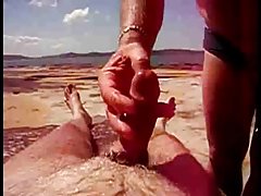 亚洲女佣鞘
