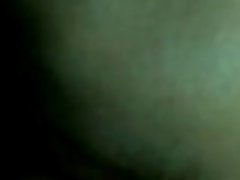 毛中泽青少年猫获取亚洲手指浜