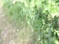 在灌木丛中的马来裸吉